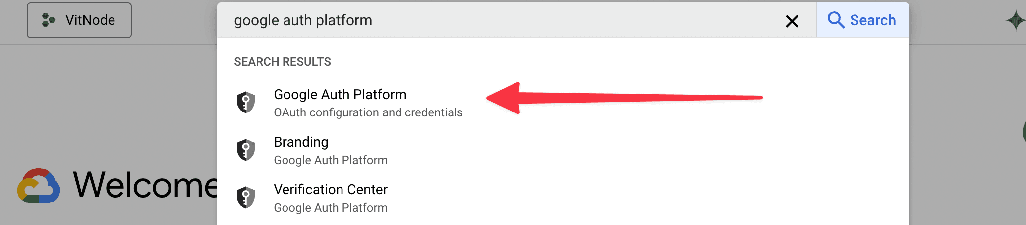 Google Auth Platform in search bar